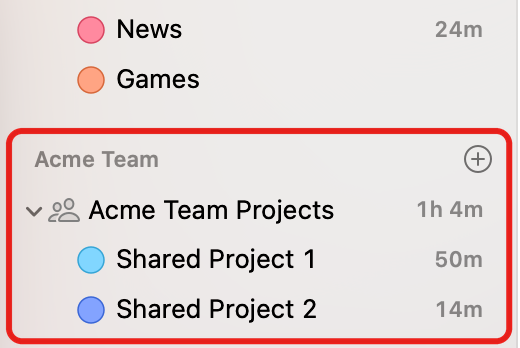 The Timing sidebar with the Acme Team section highlighted, containing Shared Project 1 and Shared Project 2 under Acme Team Projects