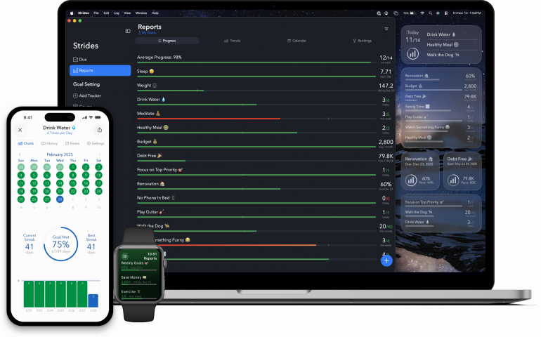 Strides habit tracker app